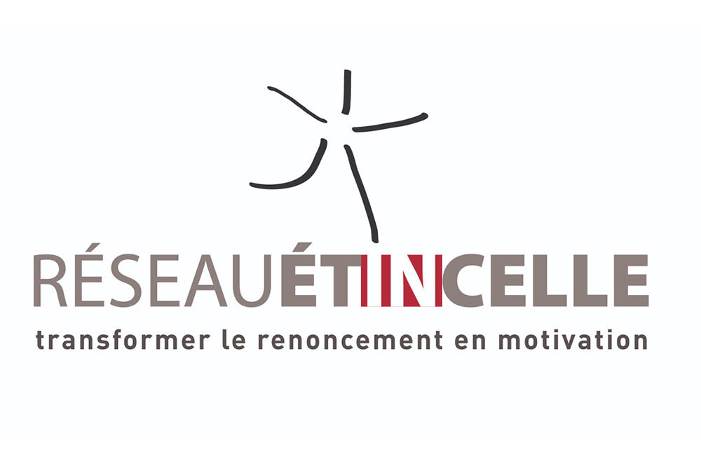 Logo du Réseau Etincelle